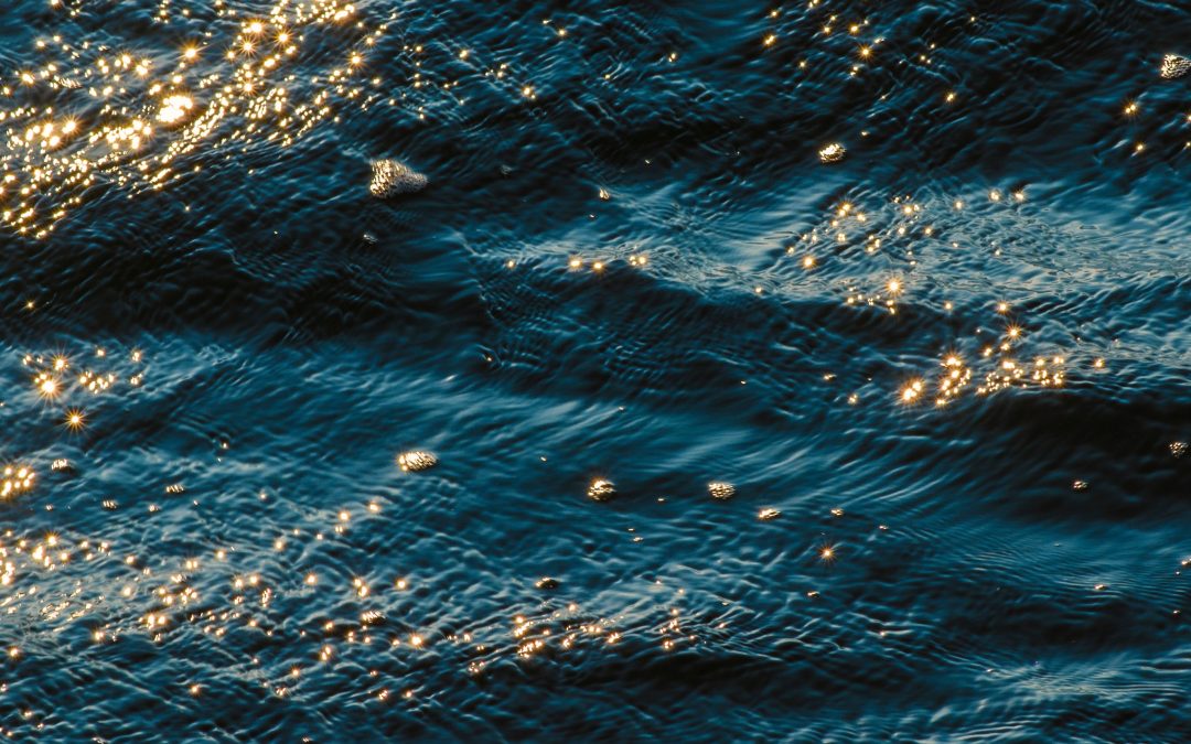 Sa, 31. Okt., 9.00–13.00 Uhr: Neuanfang in der Aare – Ritual